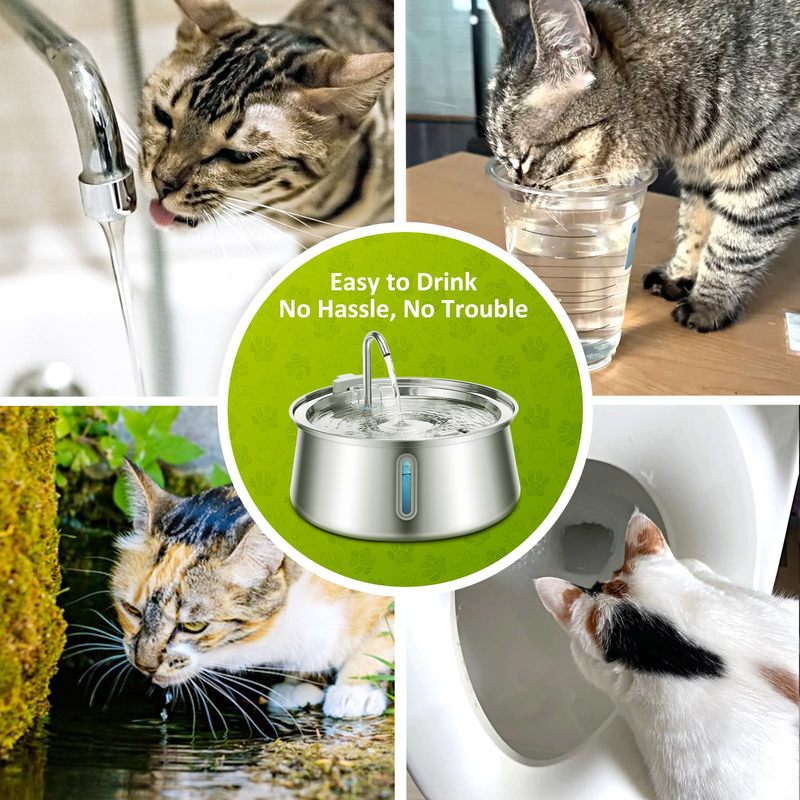 cat drinking from stainless steel automatic water fountain