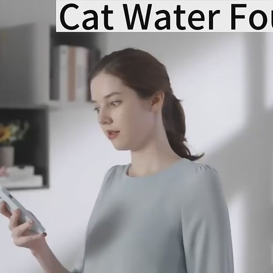 automatic stainless steel pet water fountain in daily use